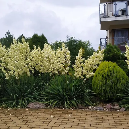 Dobruk Apartament Na Osiedlu Bajkowym 아파트 코워브제크